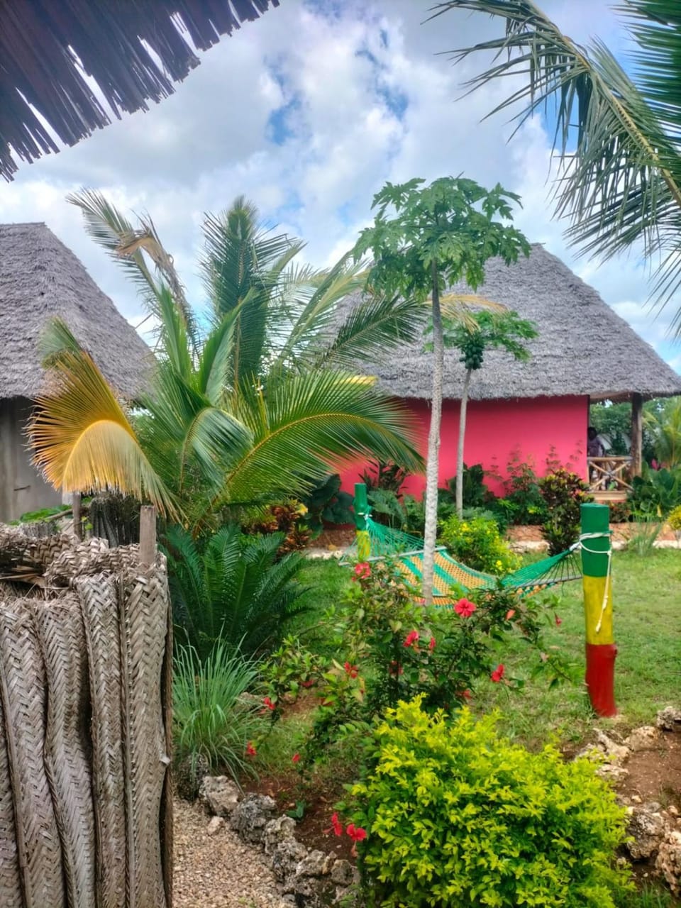 Garden view