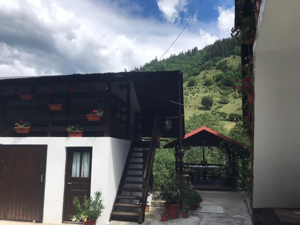 Casa Elena Bed and Breakfast in Romania