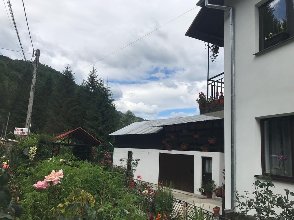 Casa Elena Bed and Breakfast in Romania