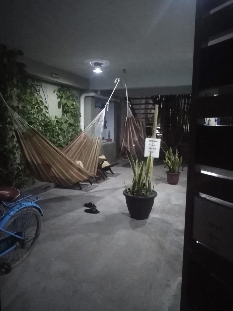 Hostal Jardin Hostel in State of Quintana Roo