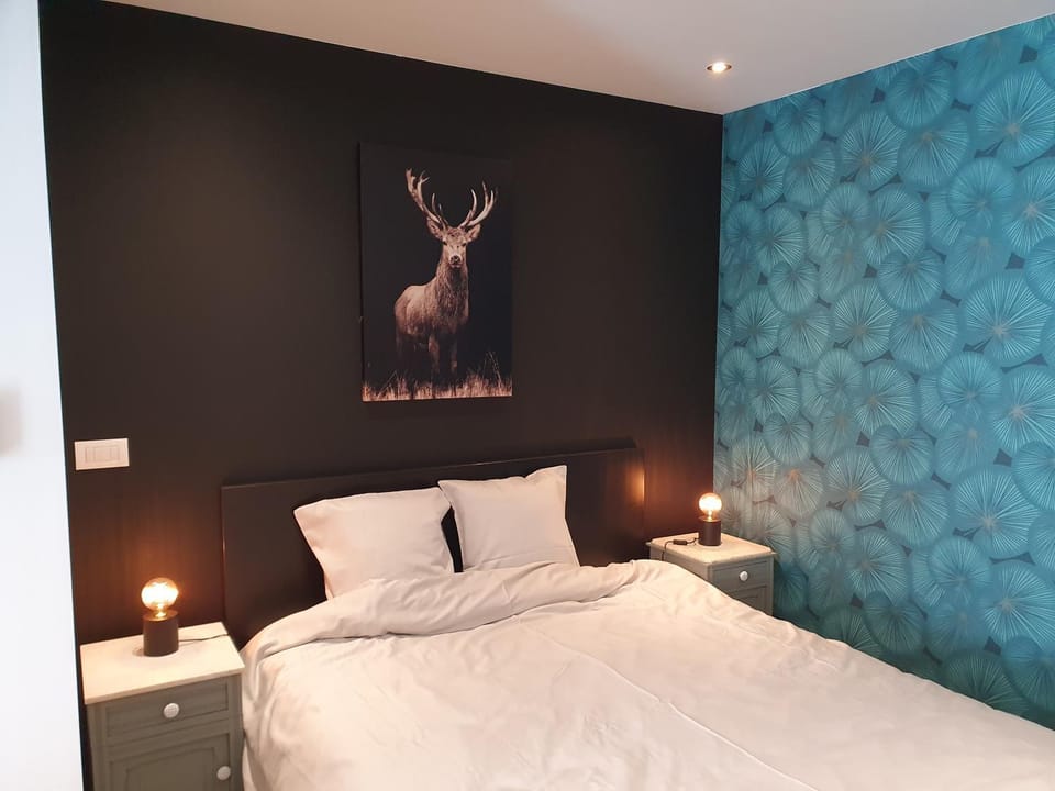 Nifloma - studio cosy, centre Apartment in Wallonia, Belgium