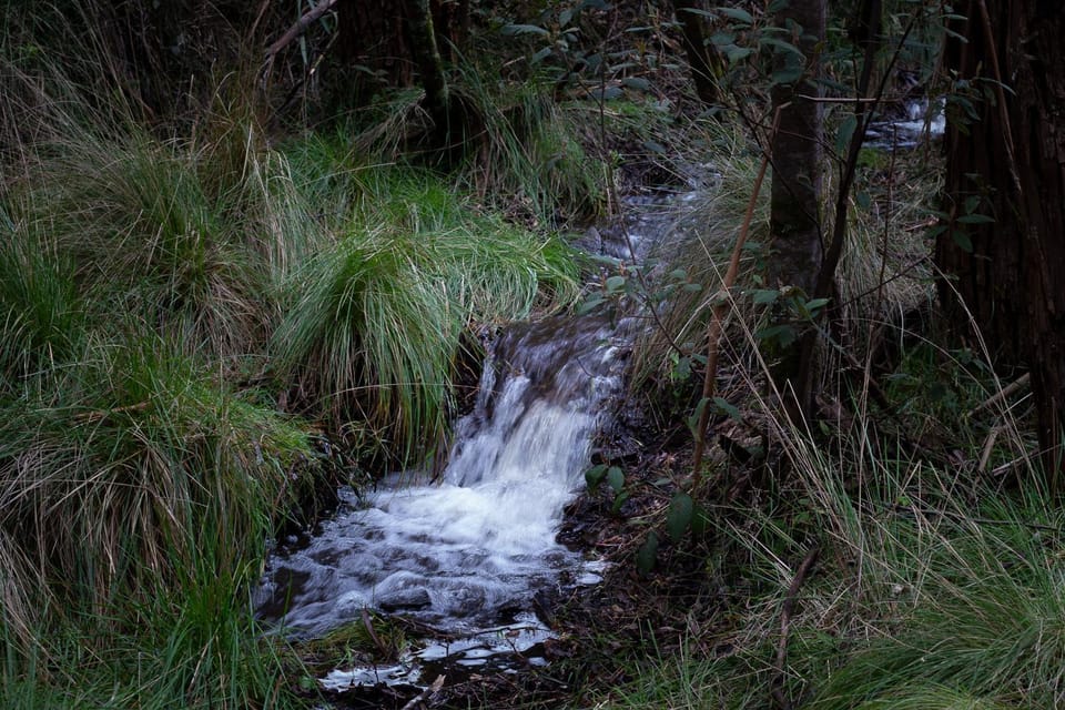 Natural landscape, River view