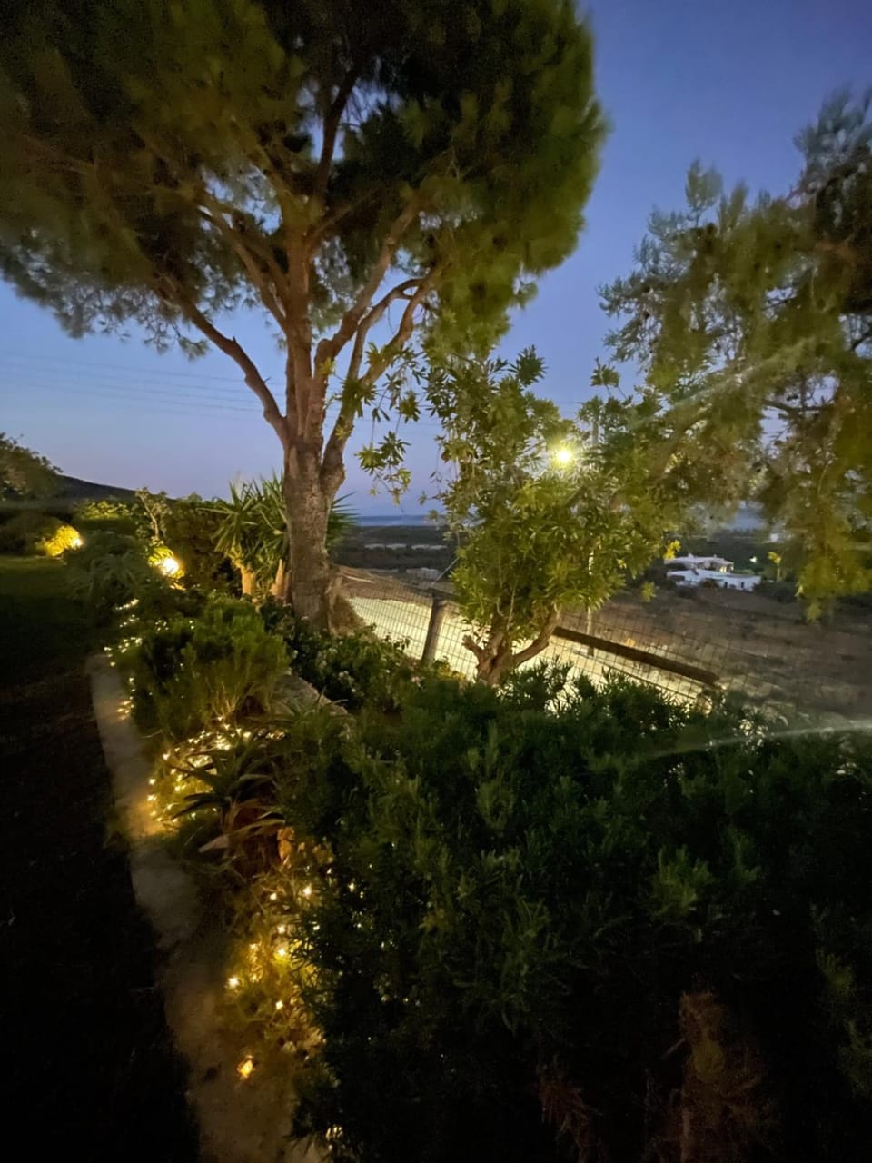 Night, Natural landscape, Garden view