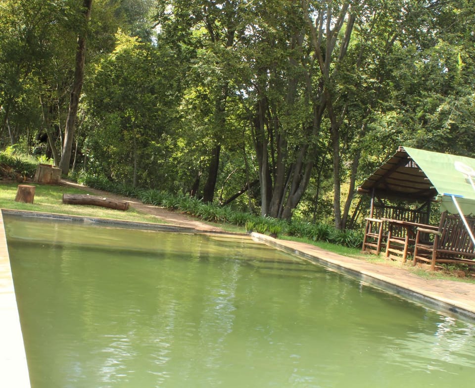 View (from property/room), Swimming pool
