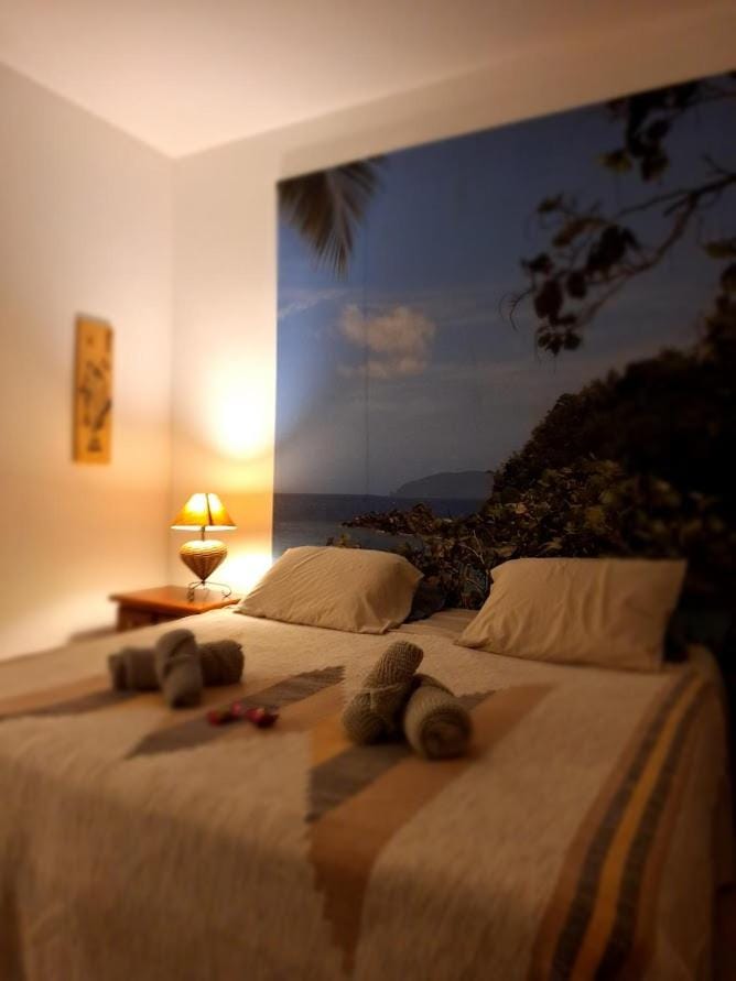 Viva a Ilha mais Bela - 150m das praia do Viana e siriúba Bed and Breakfast in State of São Paulo