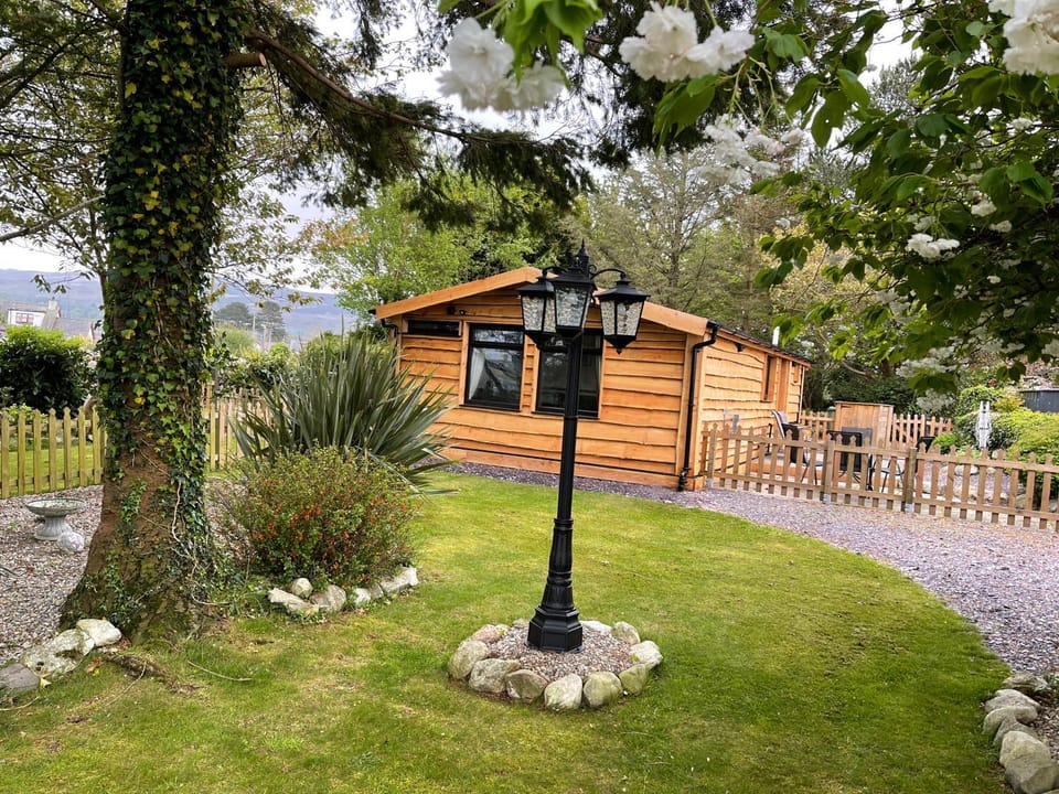 Snowdonia cabin Cabin in Wales
