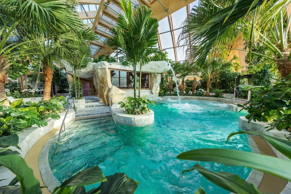 Day, Natural landscape, Garden, Spa and wellness centre/facilities, Garden view, Pool view, Swimming pool