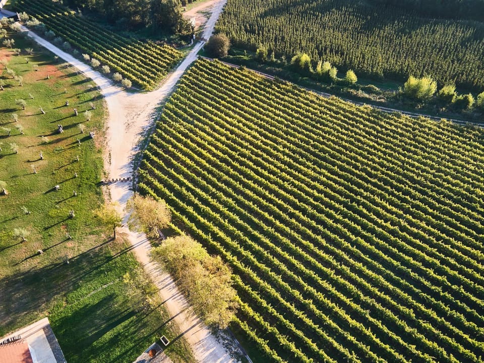 Quinta do Porto Nogueira Farm Stay in Lisbon District