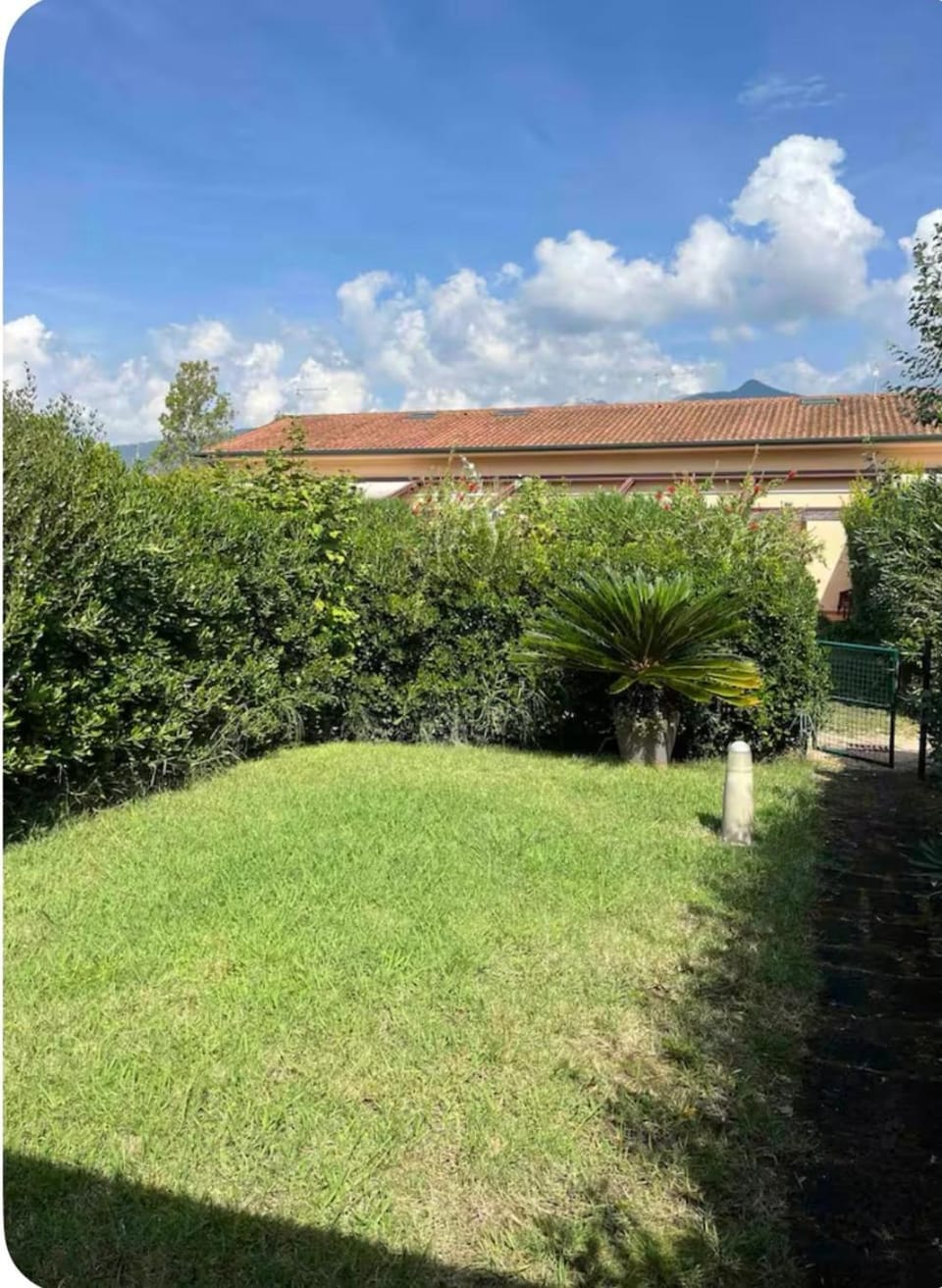 Garden view
