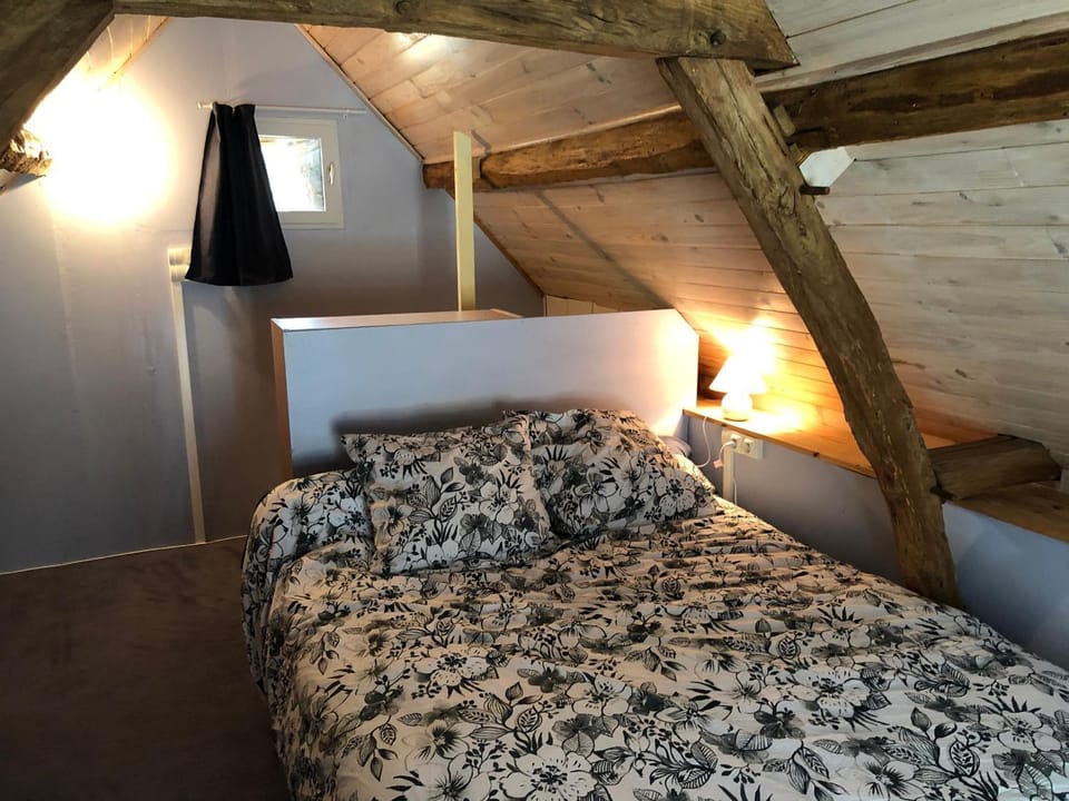Nid Douillet pour 2 à Asnières-sur-Vègre, Petite Cité de Caractère - FR-1-410-317 House in Pays de la Loire