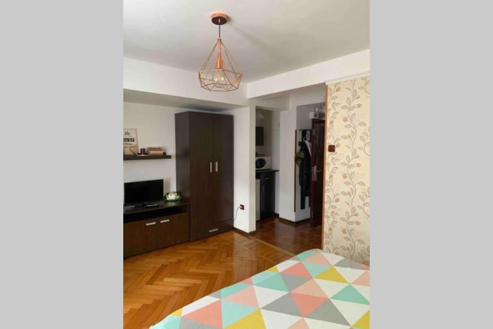 Cozy Studio in the heart of Bucharest Apartment in Bucharest