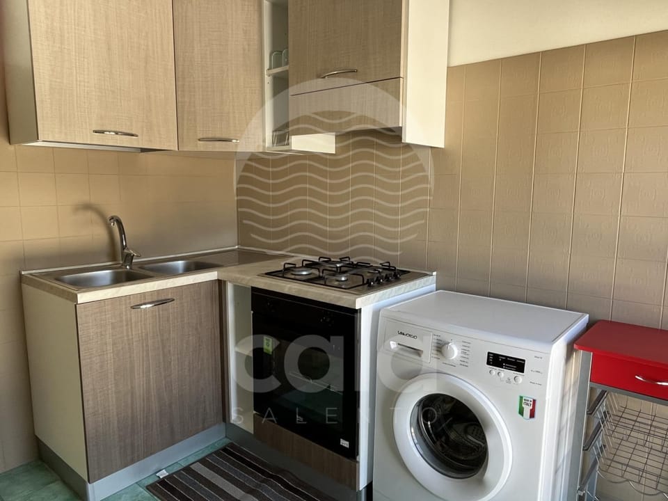 Kitchen or kitchenette, pet friendly, stove, washing machine