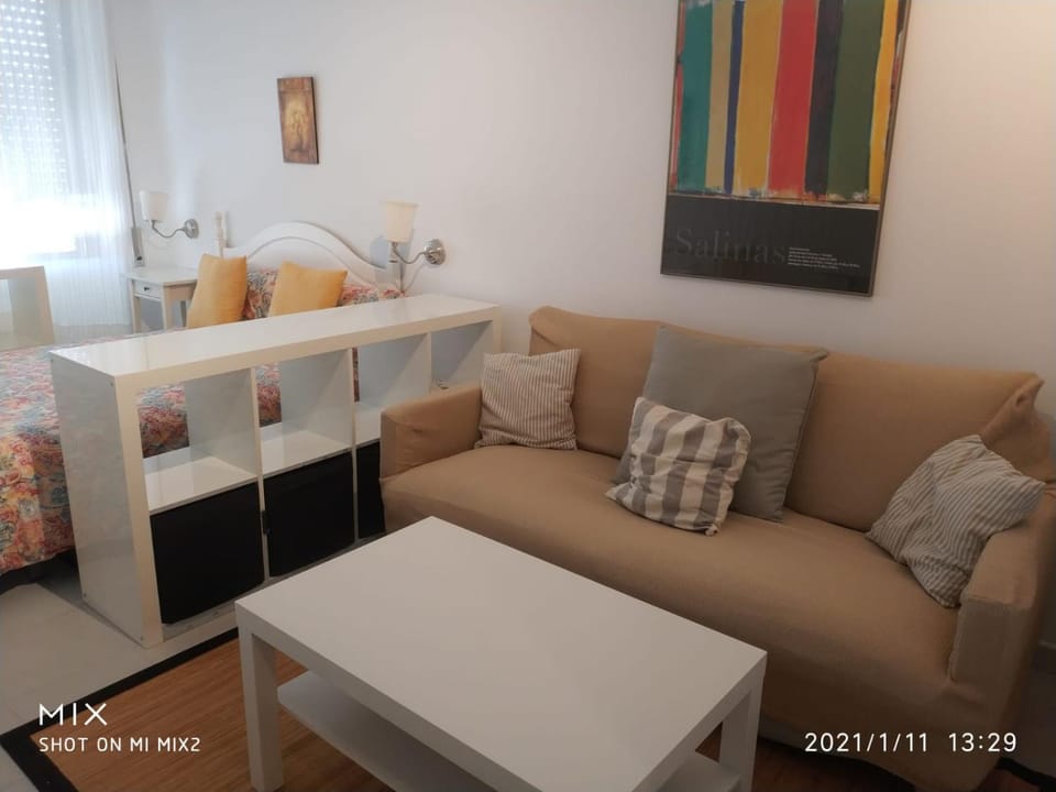 Resitur Apto 731 Apartment in Seville
