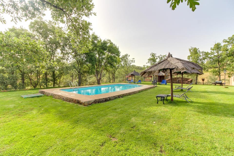 Activities, Summer, Garden, Solarium, Garden view, Swimming pool, Open Air Bath