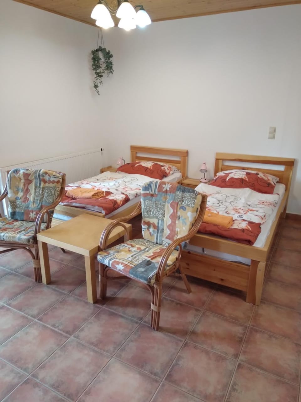 Penzion HORTENZIE Bed and Breakfast in South Bohemian Region