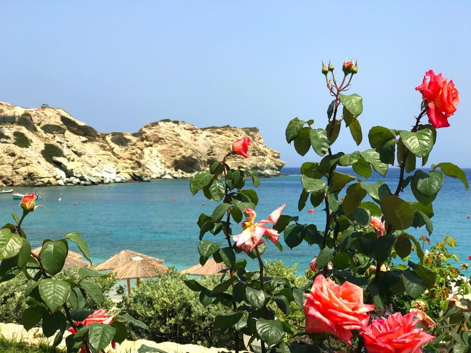 Dreamwave Residence - Unique holidays by the sea House in Crete Region