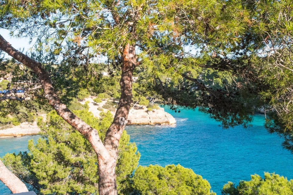 Apartamento Ferrera Park 306 Apartment in Cala Ferrera