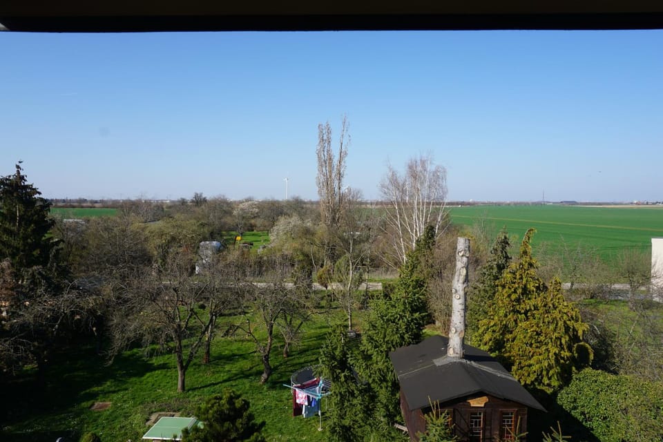 View (from property/room), Garden view