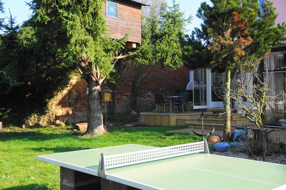 Garden, Table tennis