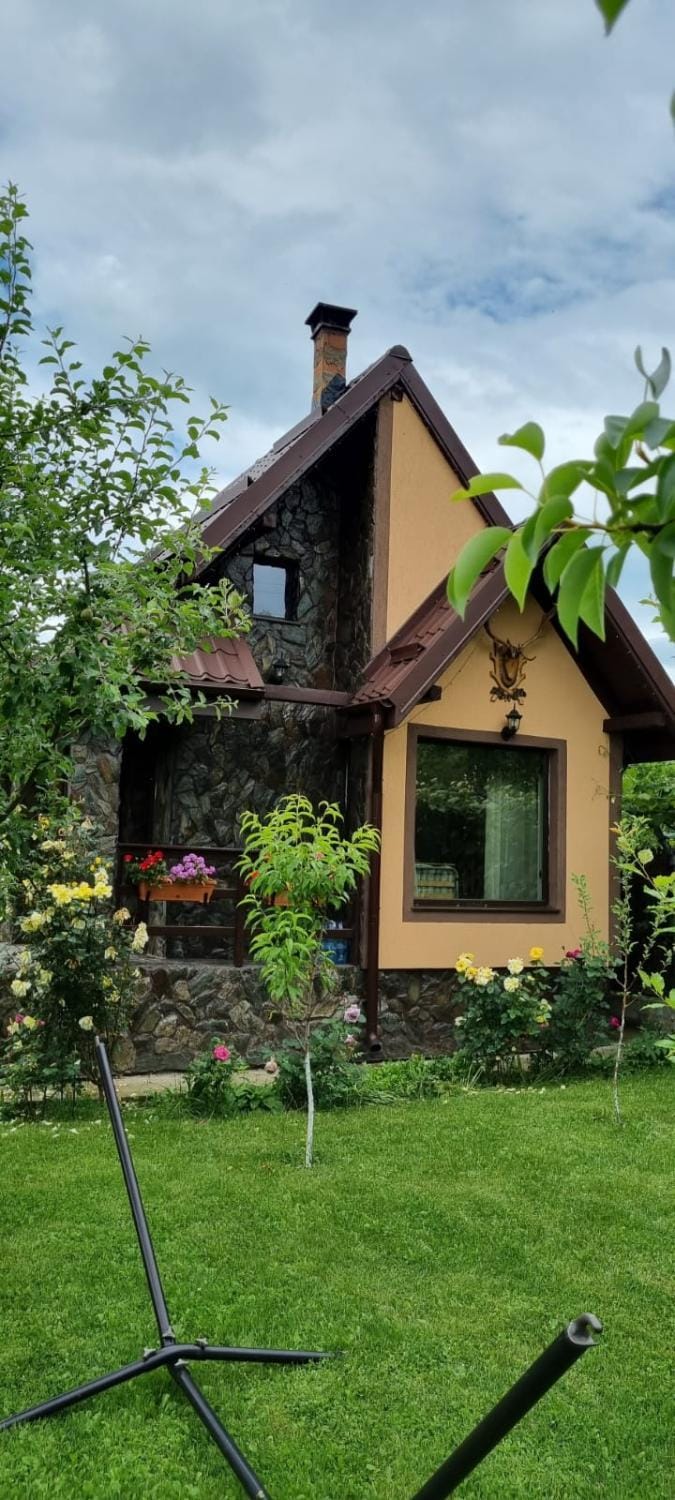 Garden, Garden view