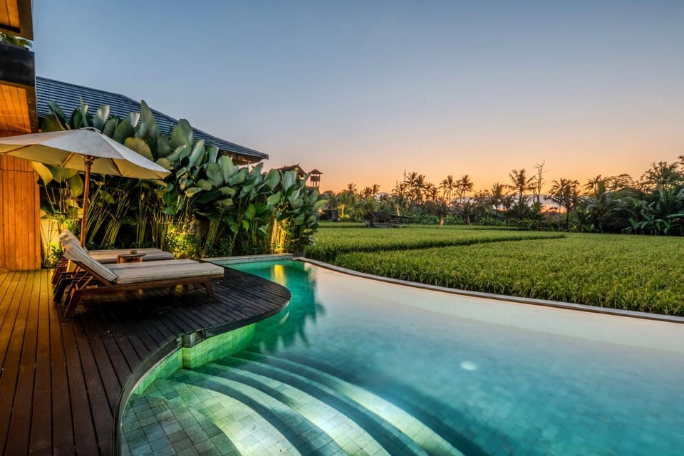 Natural landscape, Garden, Garden view, Pool view, Swimming pool, Sunset, sunbed