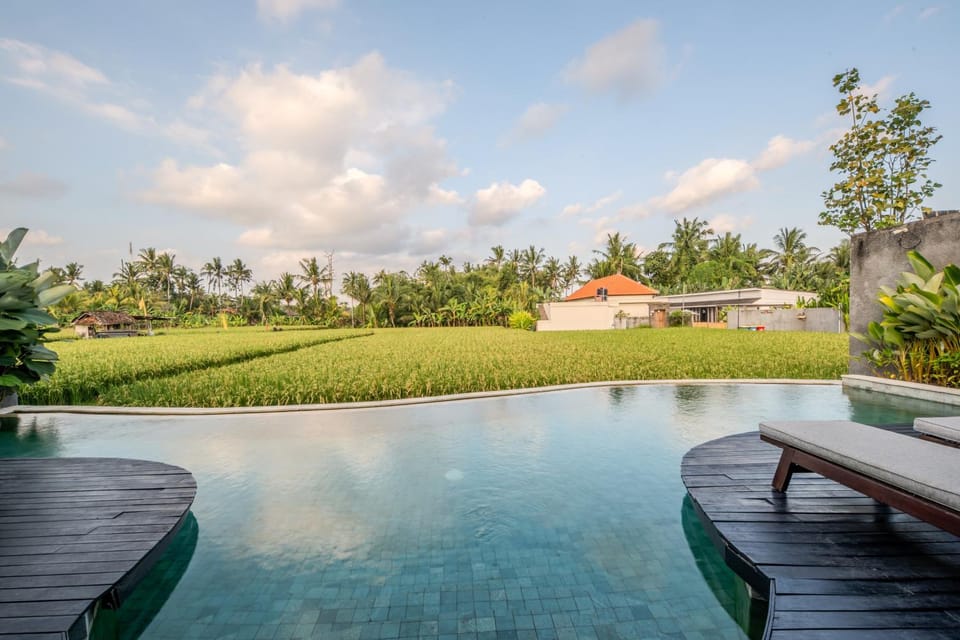 Day, Natural landscape, Garden, Garden view, Pool view, Swimming pool