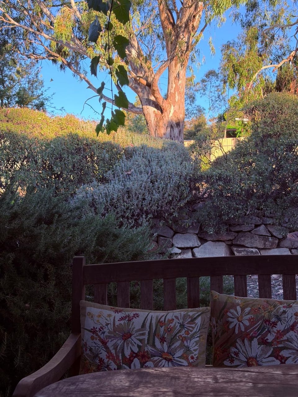 Barossa Valley’s Captain Rodda’s Cottage House in Angaston