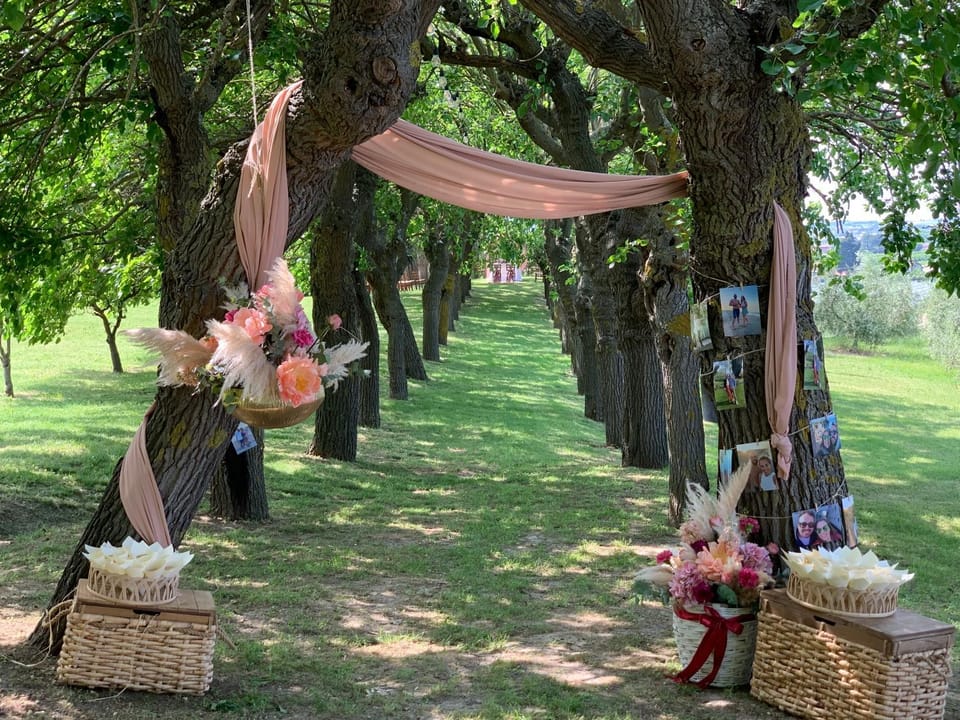 Natural landscape, Garden view, wedding, wedding