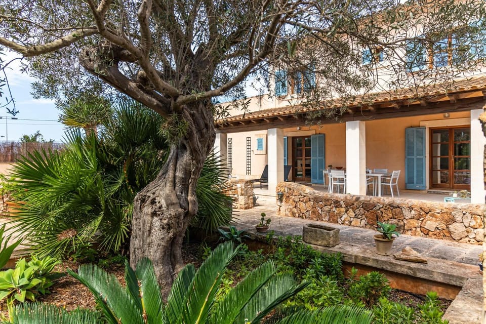 Patio, Garden, Garden view