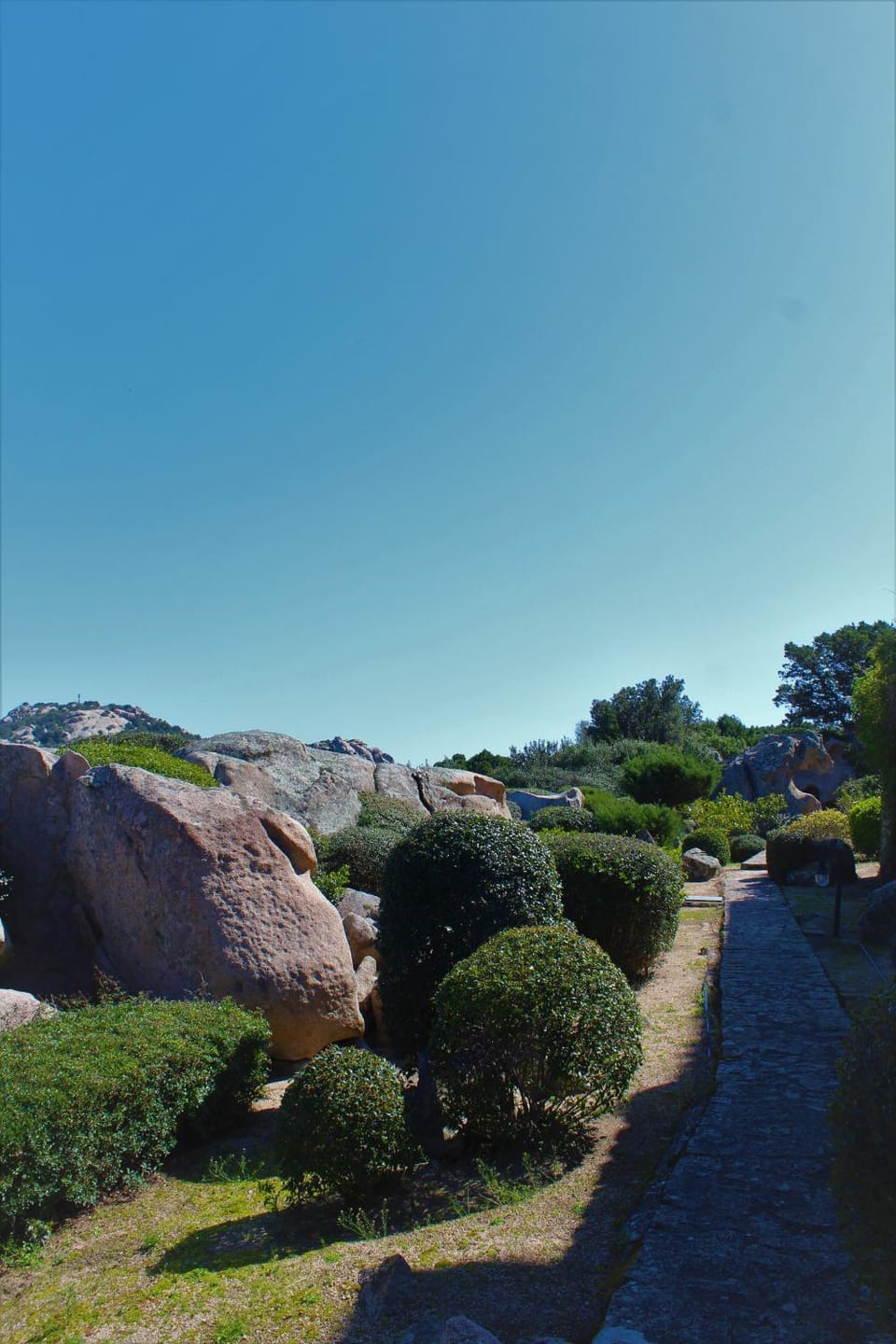 Garden, Garden view, Garden view