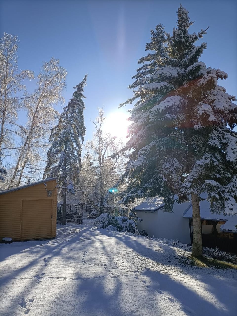 Property building, Winter