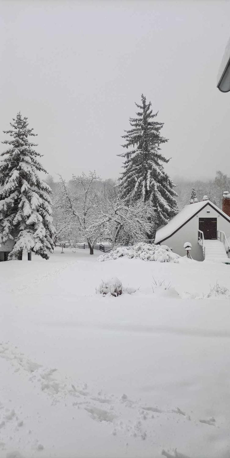 Property building, Winter
