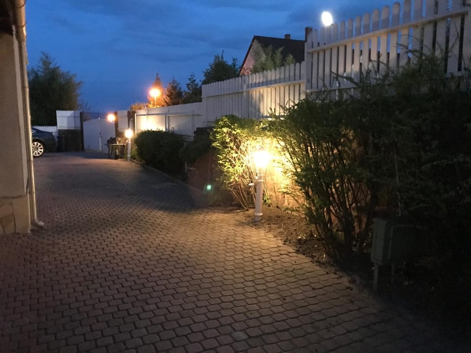 Garden, Sunset