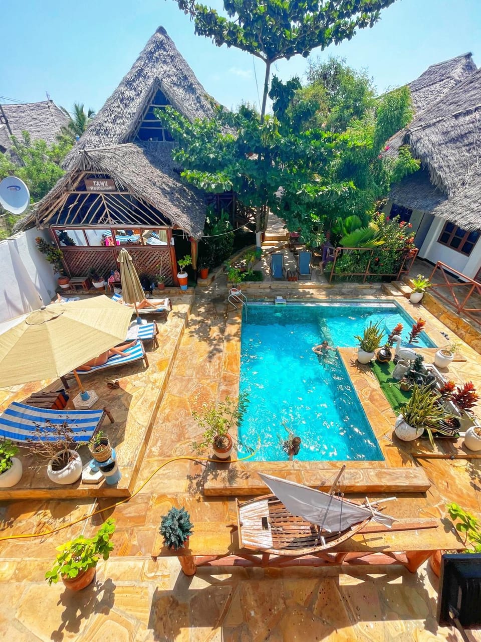 Patio, Day, Natural landscape, Garden, Garden view, Pool view, Swimming pool, sunbed