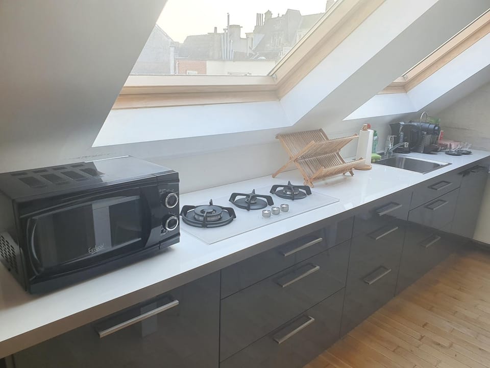 Coffee/tea facilities, Kitchen or kitchenette, minibar, stove