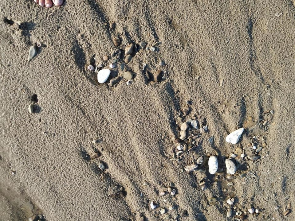 Natural landscape, Beach