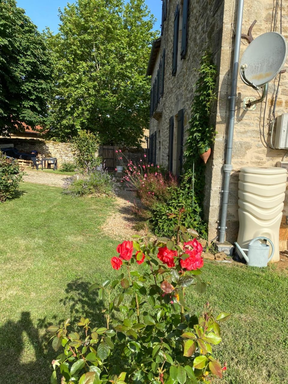 Spring, Garden