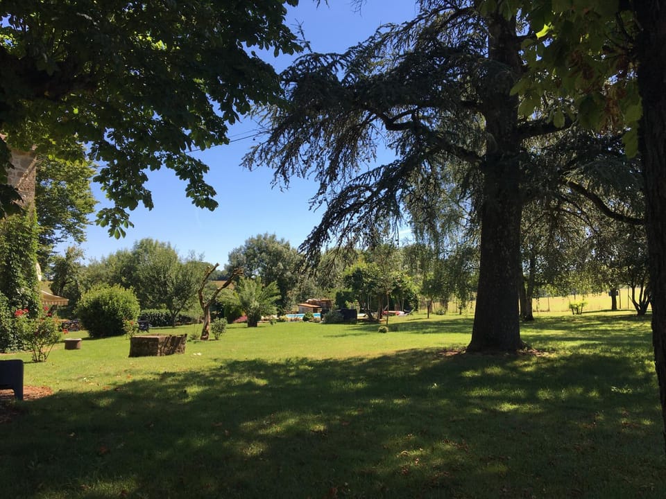 Natural landscape, Garden