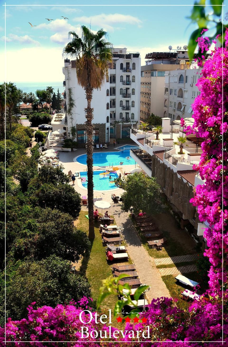 Garden, Pool view, Swimming pool