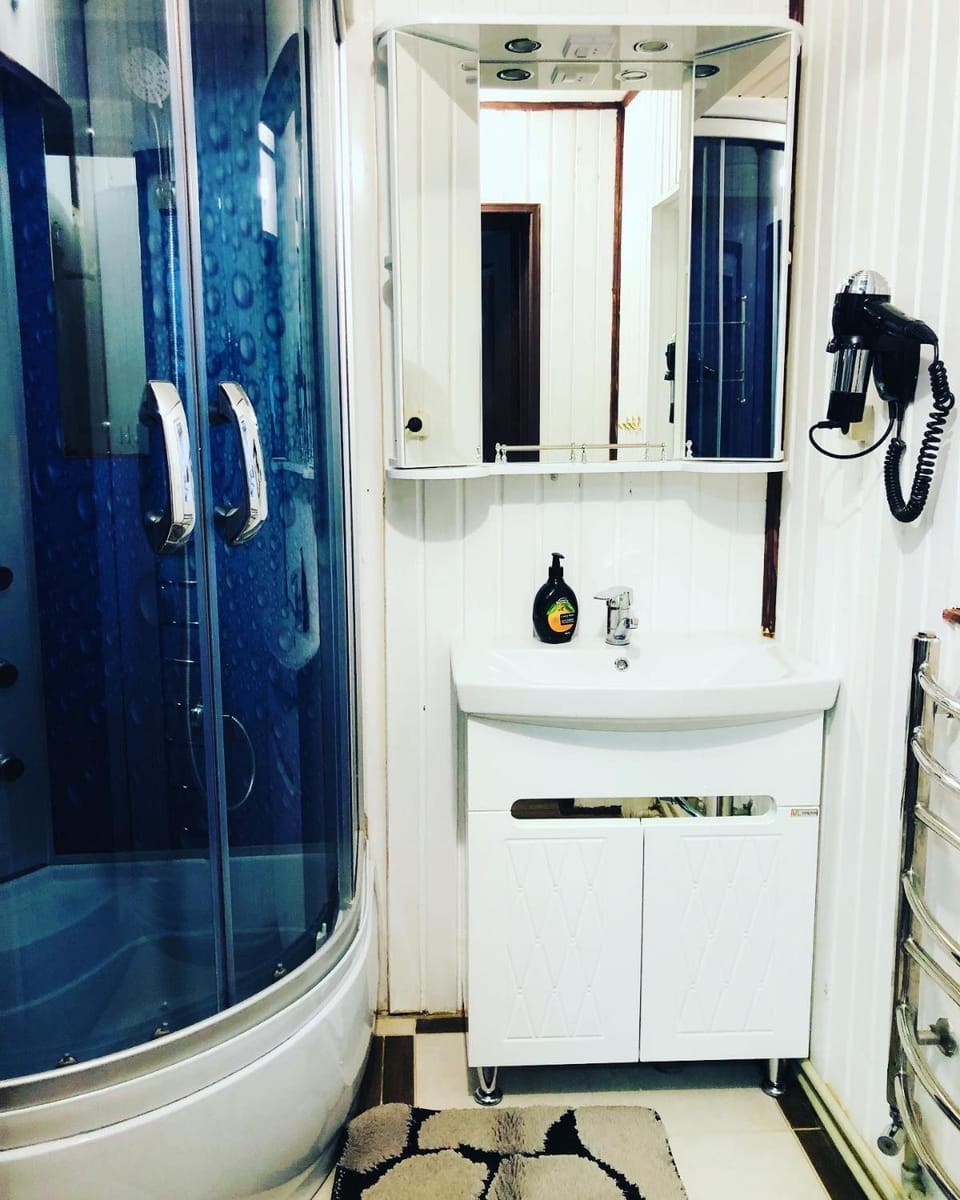 У Віти котедж 1 Apartment in Ukraine