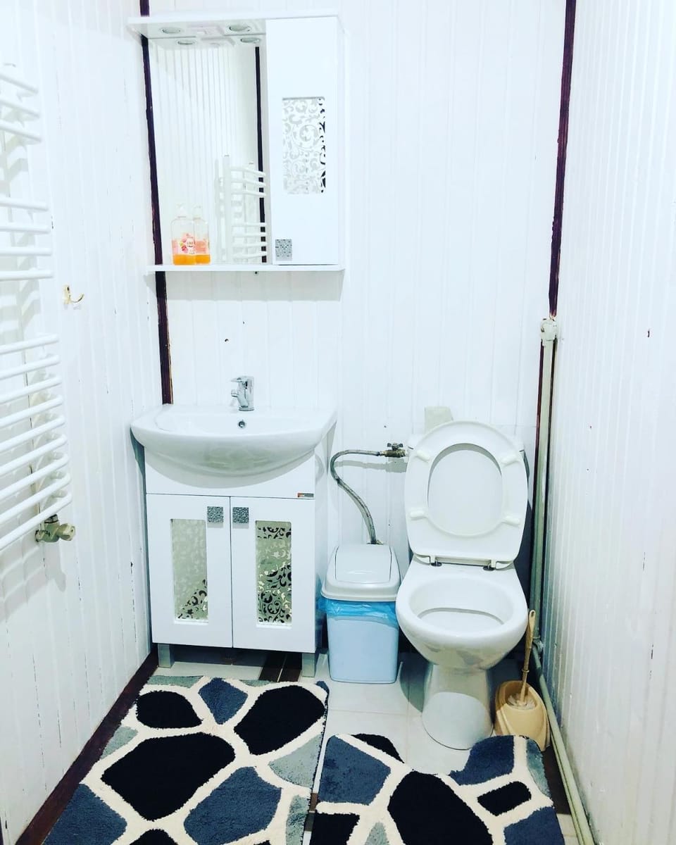 У Віти котедж 1 Apartment in Ukraine