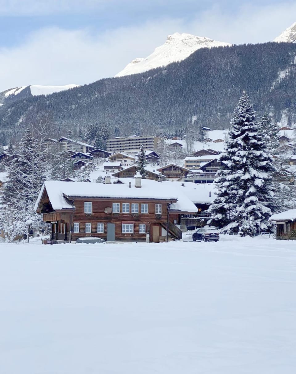 Natural landscape, Winter, Mountain view