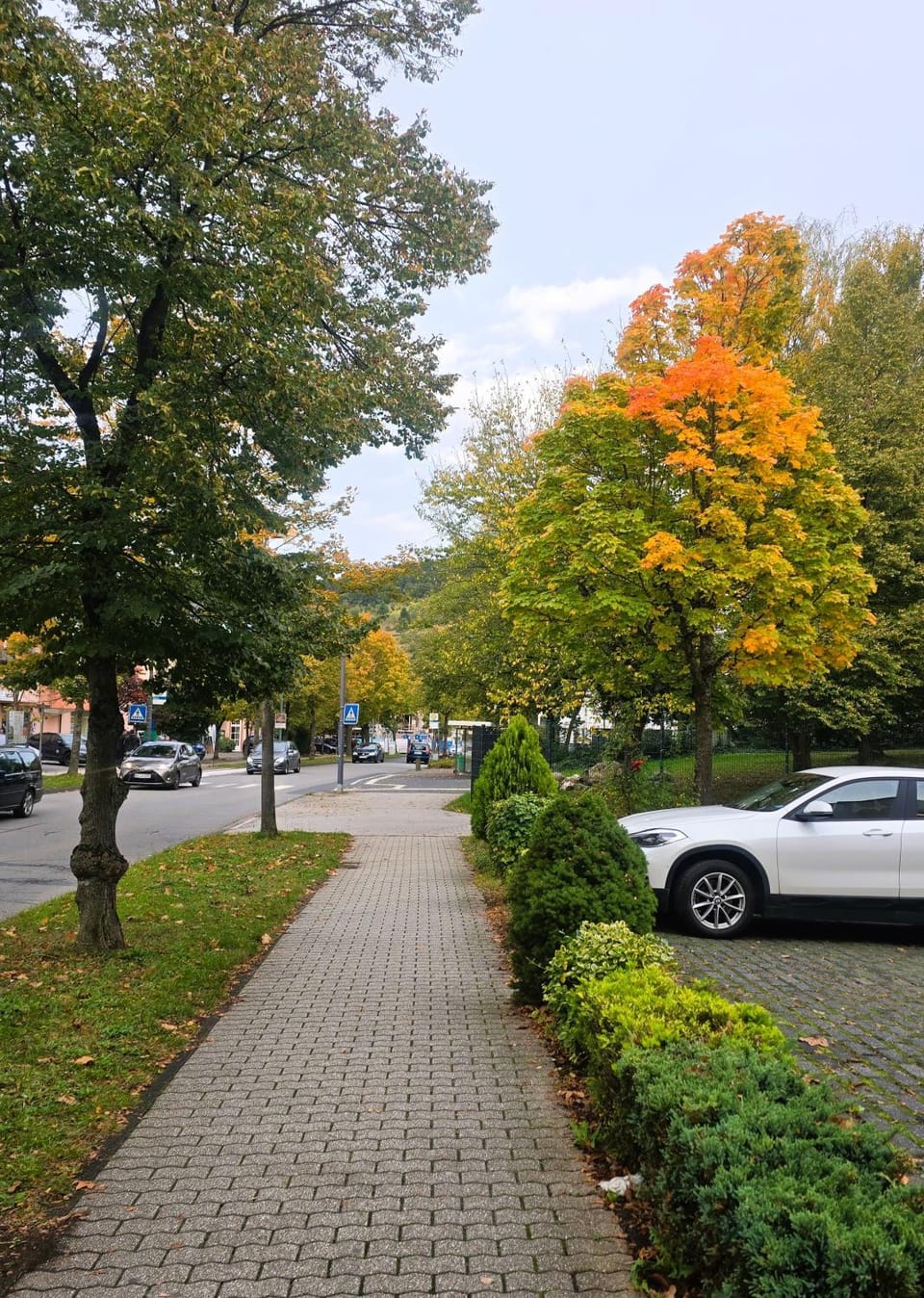 Neighbourhood, Natural landscape, Activities