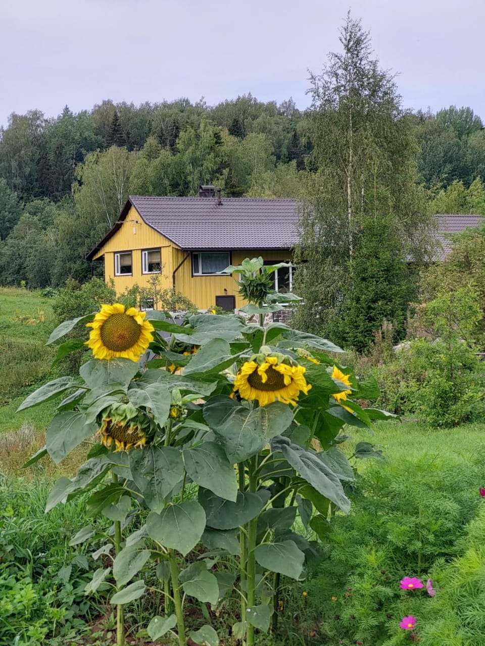 Garden, Garden view