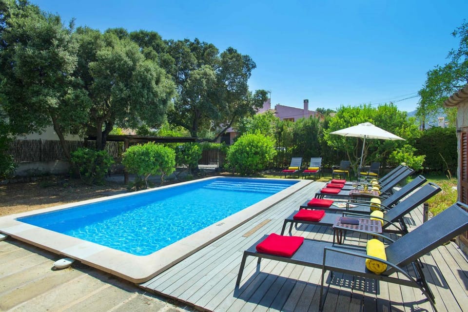 Garden, Swimming pool, sunbed