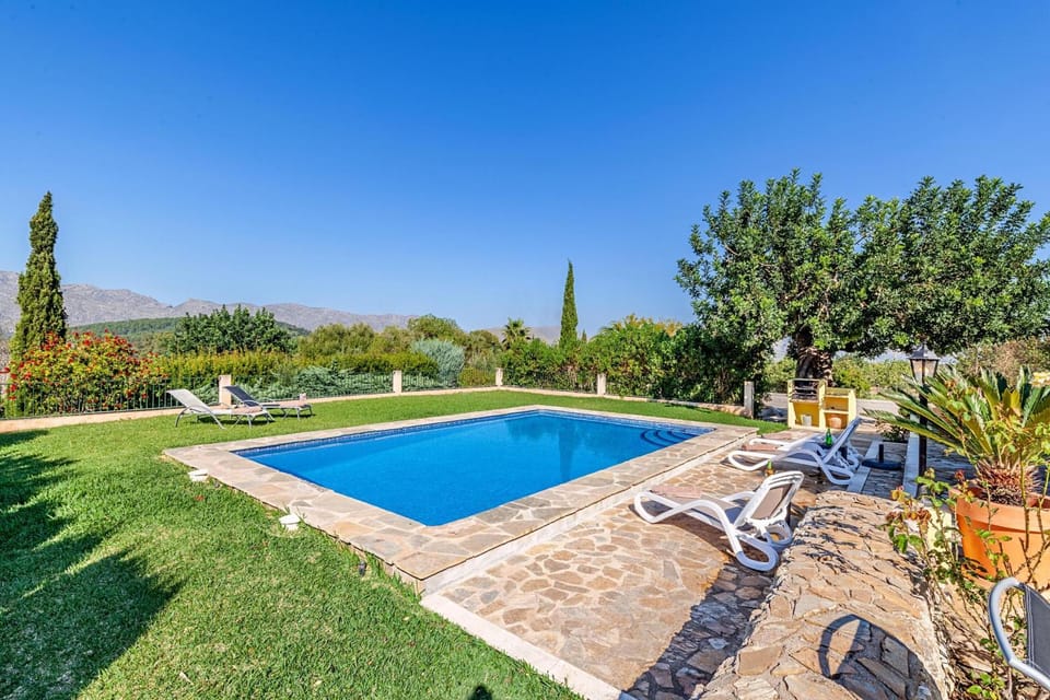 Garden, Pool view, Swimming pool, sunbed