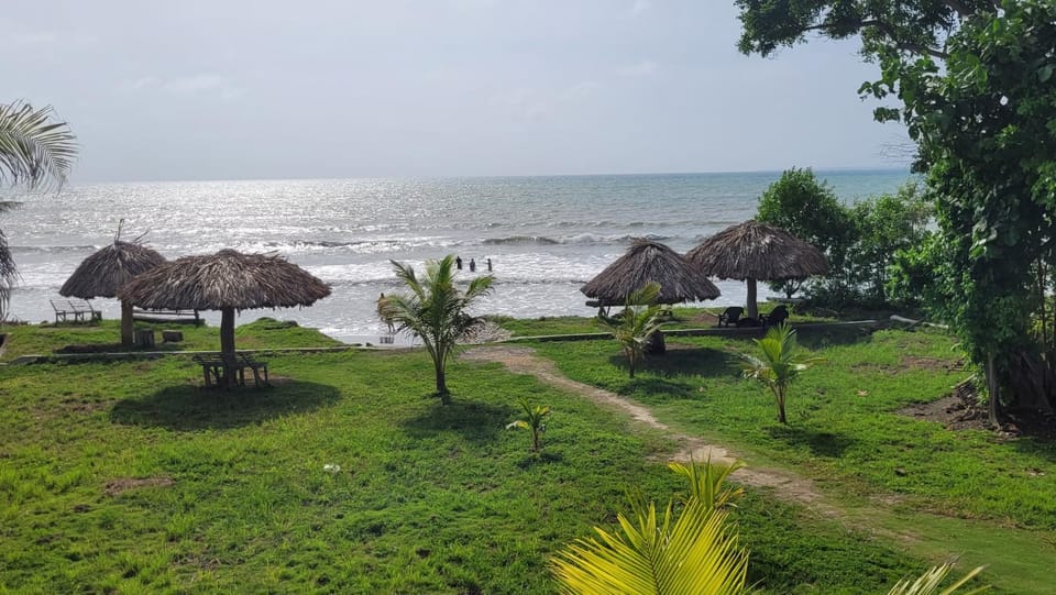 Natural landscape, Garden, Beach, Garden view, Sea view