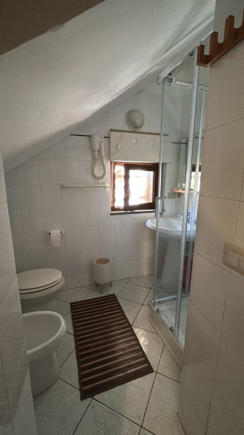 Shower, Toilet, Bathroom, bidet, towels