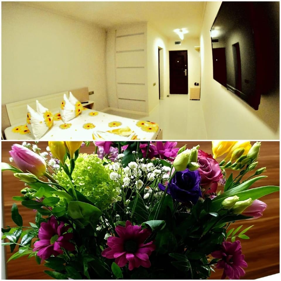 Casa Ovi Apartment in Dobrich Province, Bulgaria