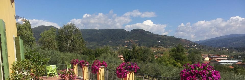 Mountain view